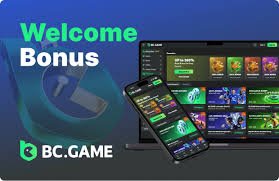 Understanding Support for BC Game Ensuring a Flawless Gaming Experience