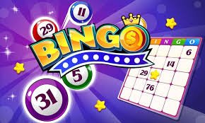 Understanding What Bingo Sites Are Not 945520816 Understanding What Bingo Sites Are Not 945520816
